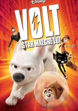 Volt, star malgré lui