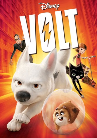 Volt, star malgré lui