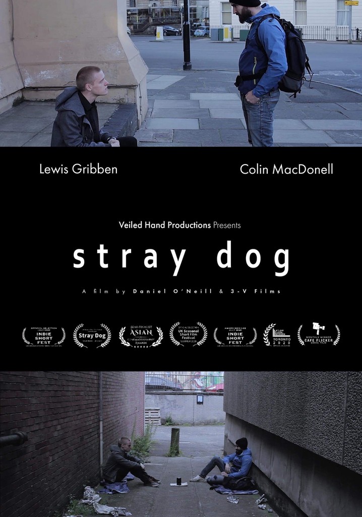 Stray Dog