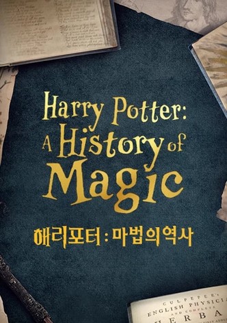 해리 포터: 마법의 역사