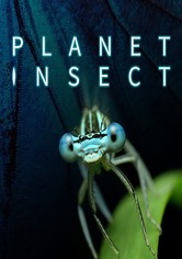 Planet Insect - Temporada 1