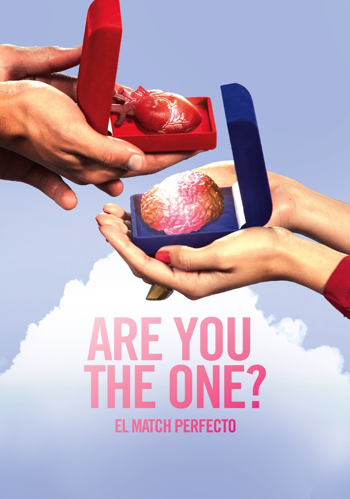 Are You the One? El Match Perfecto - streaming - Where Can I Stream Are You The One