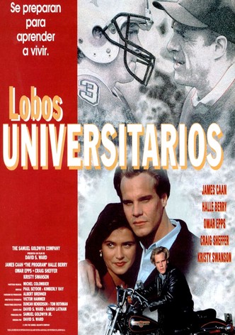 Lobos universitarios