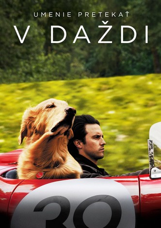 Umenie pretekať v daždi