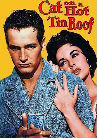 Cat on a Hot Tin Roof