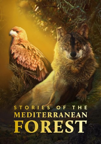 Las historias del bosque mediterráneo