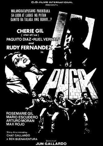Puga
