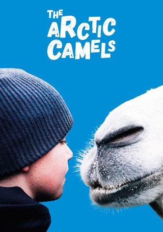 The Arctic Camels