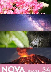 Nova - NOVA