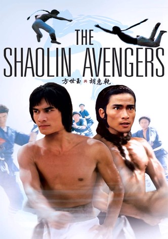 The Shaolin Avengers