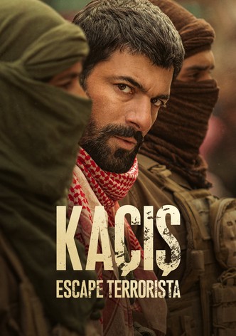 Kacis