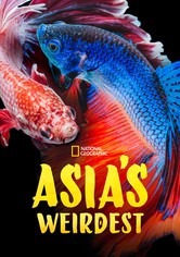 Asia's Weirdest
