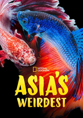 Asia's Weirdest