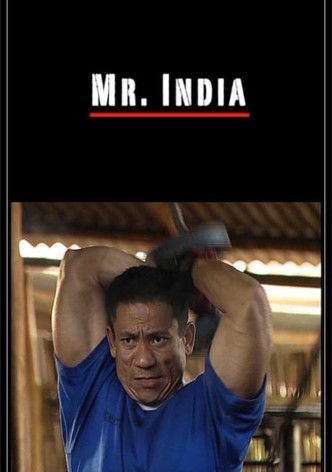 Mr. India