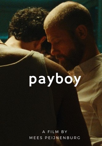 Payboy