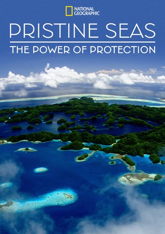 Pristine Seas: The Power of Protection