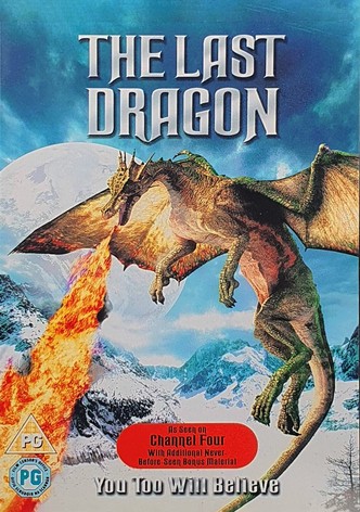 The Last Dragon