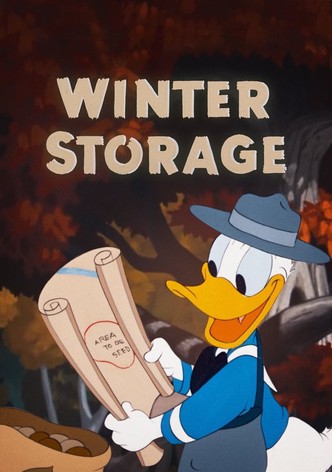 Winter Storage