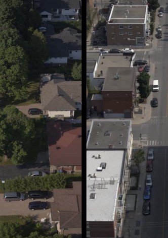 Neighbors in my backyard