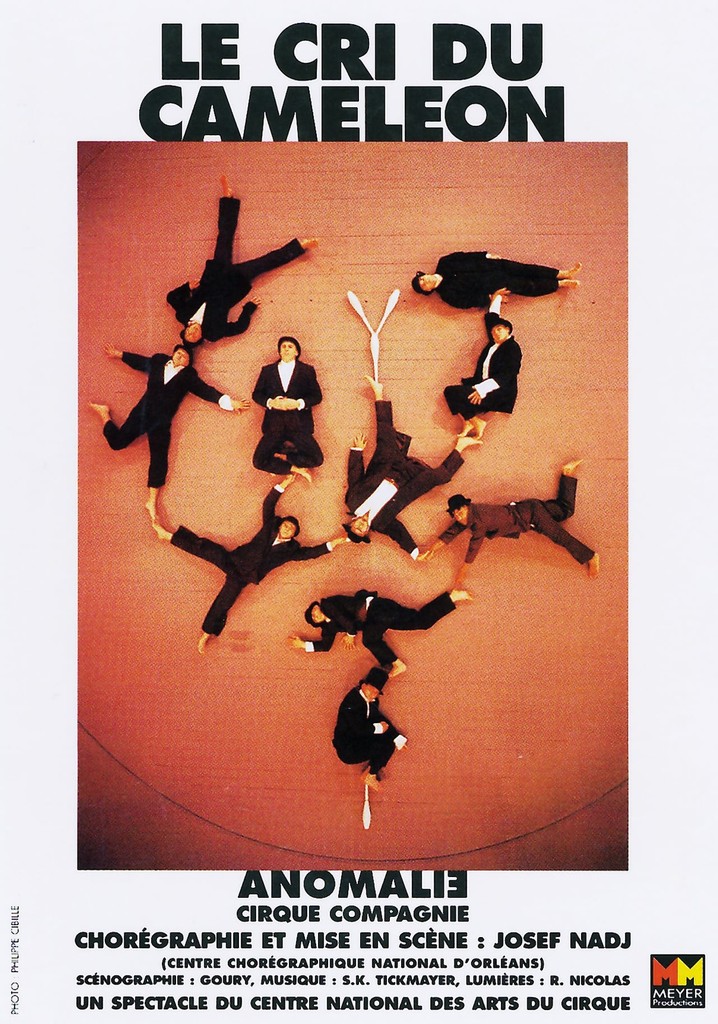 Le Cri du Caméléon