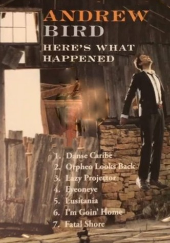 Andrew Bird: Here's What Happened