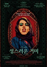 성스러운 거미