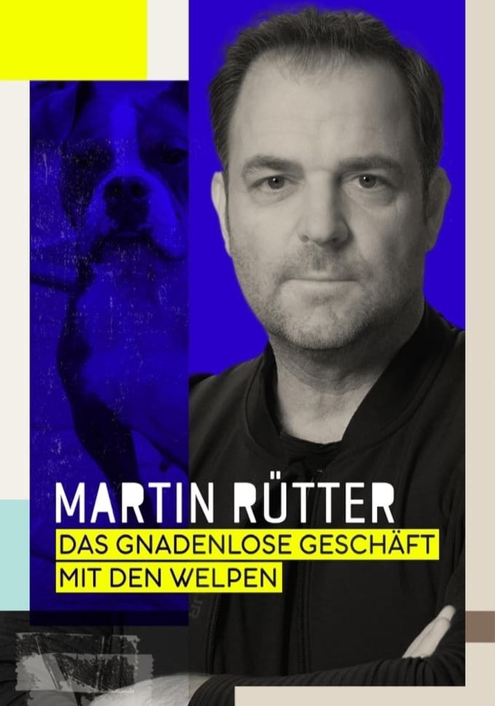 Martin Rütter das Magazin - Martin Ruetter Das GnaDenlose Geschaeft Mit Den Welpen