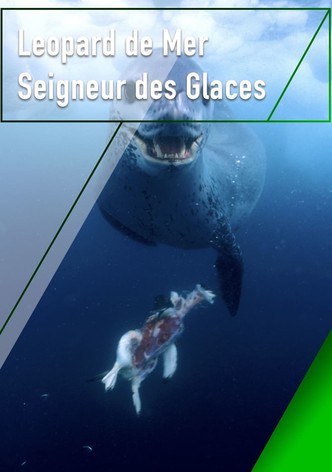 Le léopard de mer, seigneur des glaces