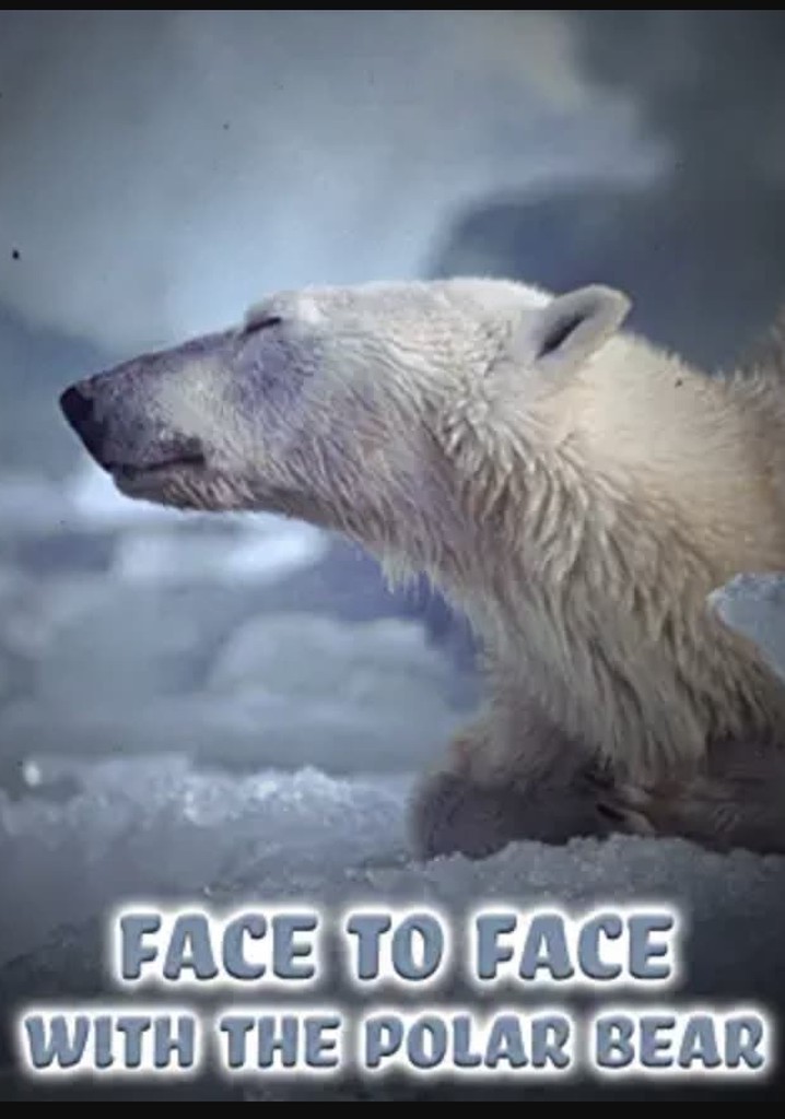 Face to Face with the Polar