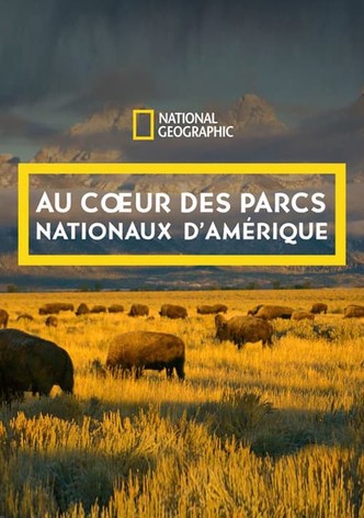 Au coeur des parcs nationaux d'Amérique