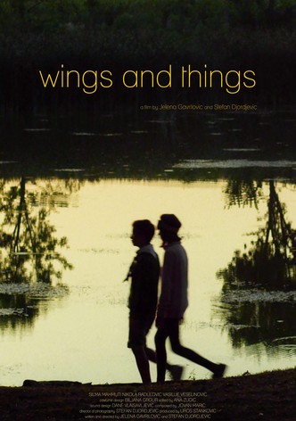 Wings and Things