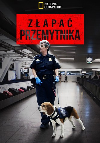 Złapać przemytnika