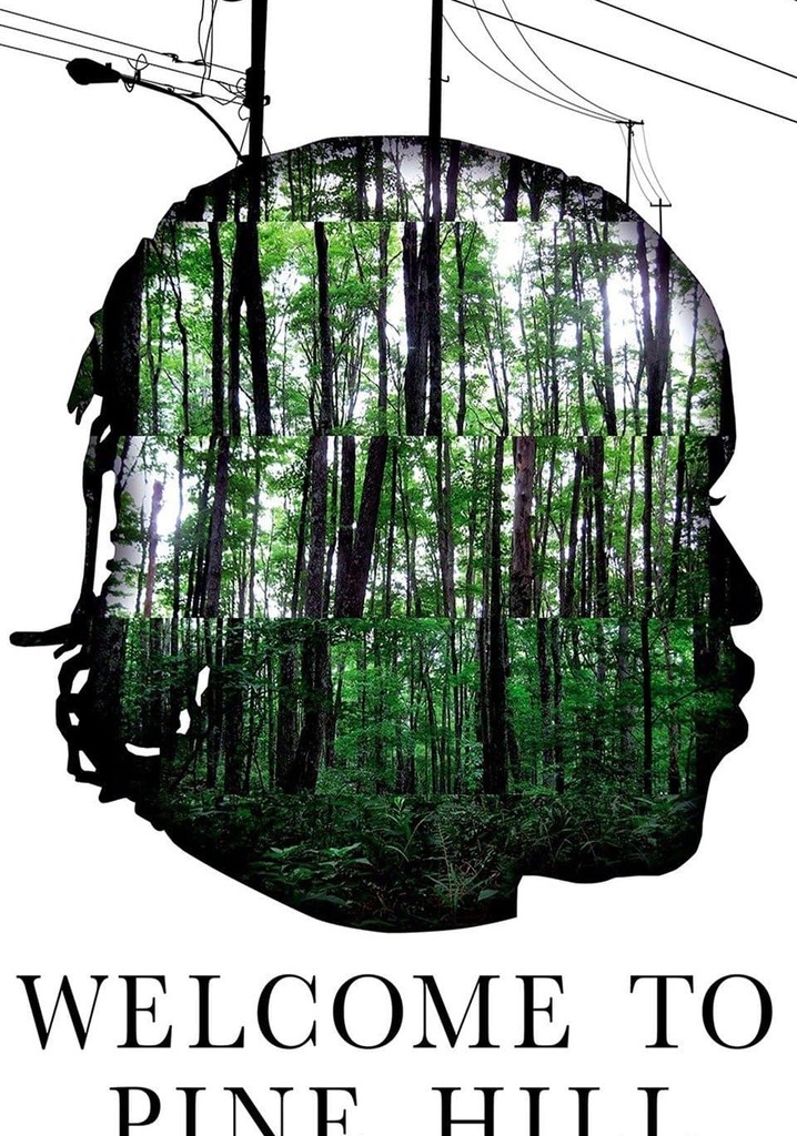 Welcome to Pine Hill