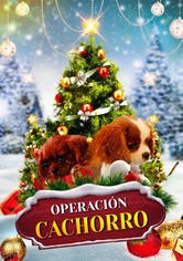 Project: Puppies for Christmas