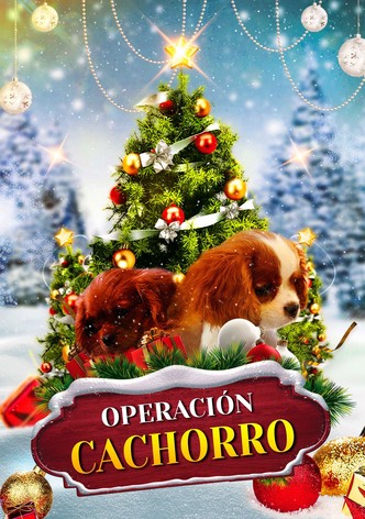 Project: Puppies for Christmas