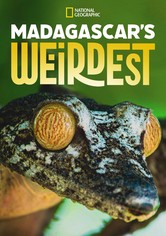 Madagascar Weirdest