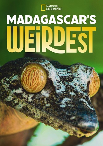 Madagascar Weirdest