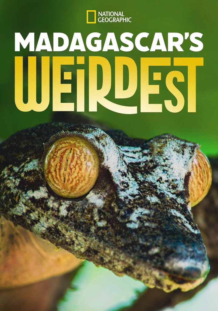 madagascar-weirdest-streaming-tv-show-online