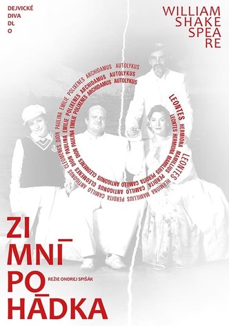 Zimní pohádka
