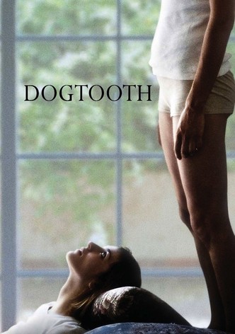 Dogtooth