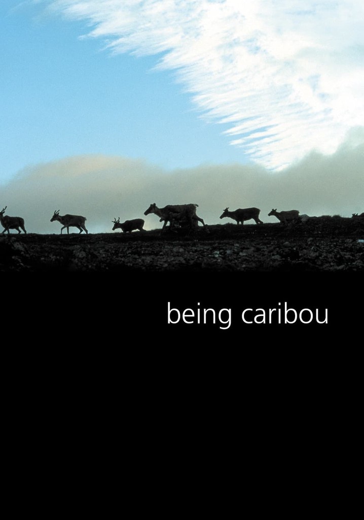Being Caribou