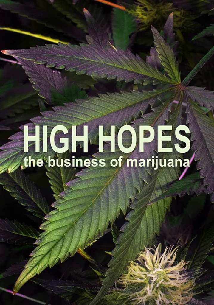 High Hopes: The Business of Marijuana