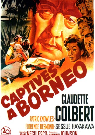 Captives à Bornéo