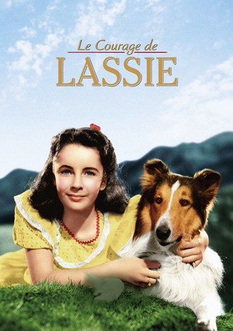 Le Courage de Lassie