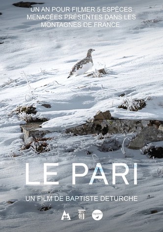 Le pari