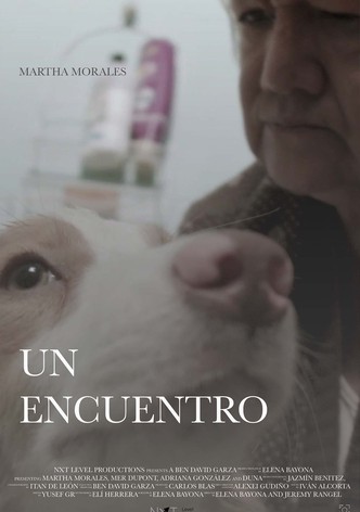 Un Encuentro