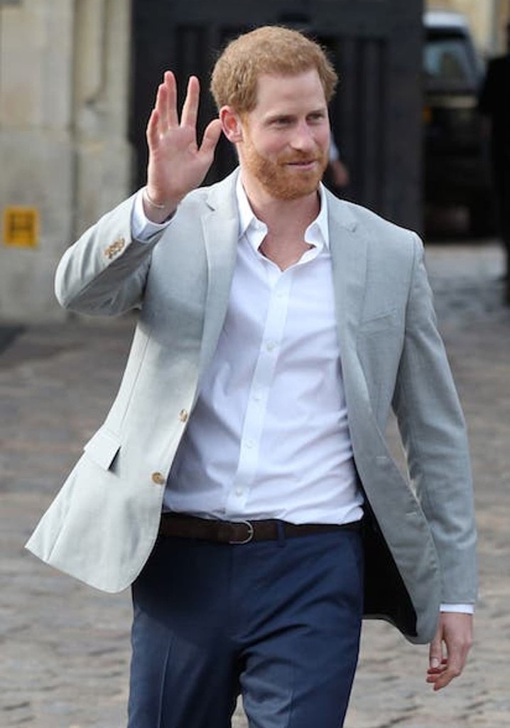 Harry: The Troubled Prince