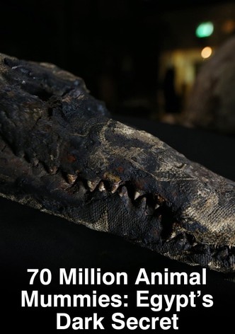 70 Million Animal Mummies: Egypt's Dark Secret