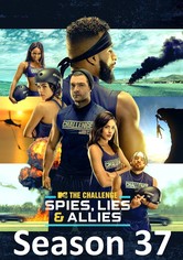The Challenge - Kausi 37