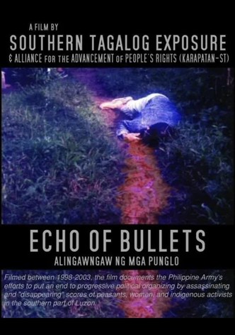 Echo of Bullets